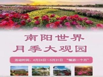 第十二届南阳月季花会4月29日开幕，活动丰富多彩