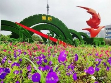 上海松江这里的花坛、花境“上新”啦!特色景观升级!