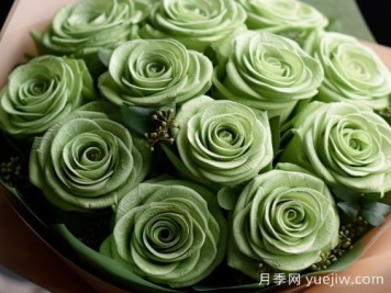 苏格兰复古绿玫瑰，绿色魅力的神秘诠释