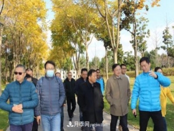 提升城市园林绿化，苏州向上海学什么？